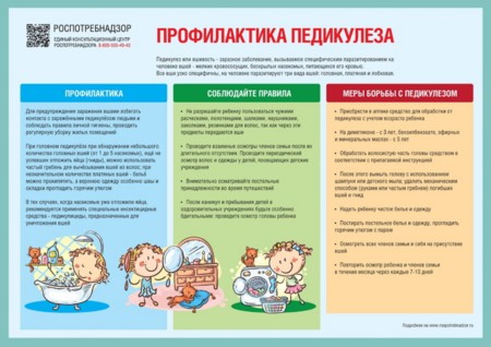 Изображение 0